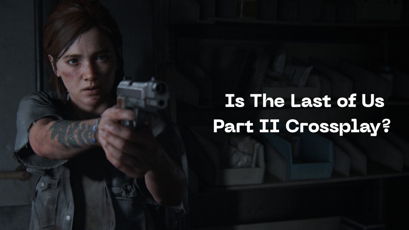 Is The Last of Us Part II Crossplay